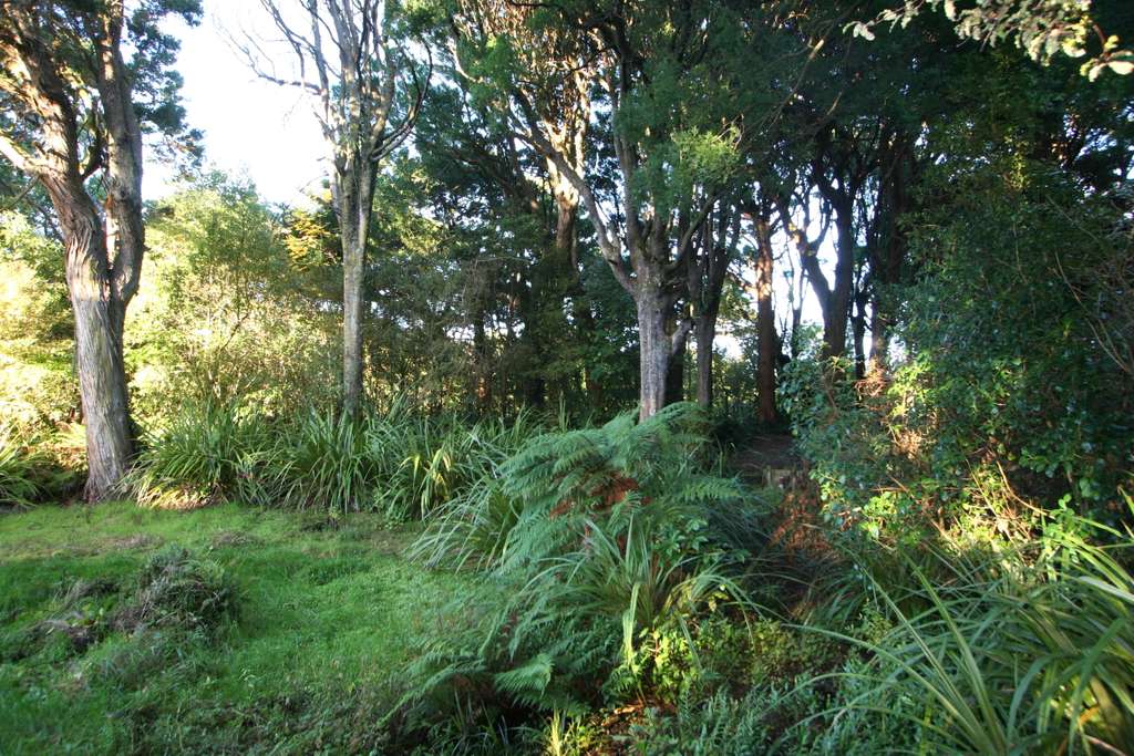 100万人民币在新西兰能买多大房子,100元能在新西兰买些什么