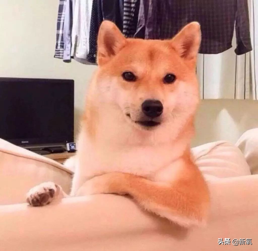 香奈儿包正品有瑕疵吗,香奈儿的包为什么比gucci贵那么多