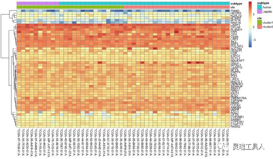 生信分析热图用什么绘制,生信分析r语言生成的图在哪里
