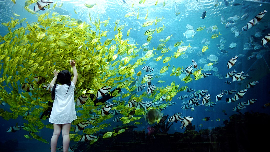 洲际海棠湾酒店,洲际酒店三亚