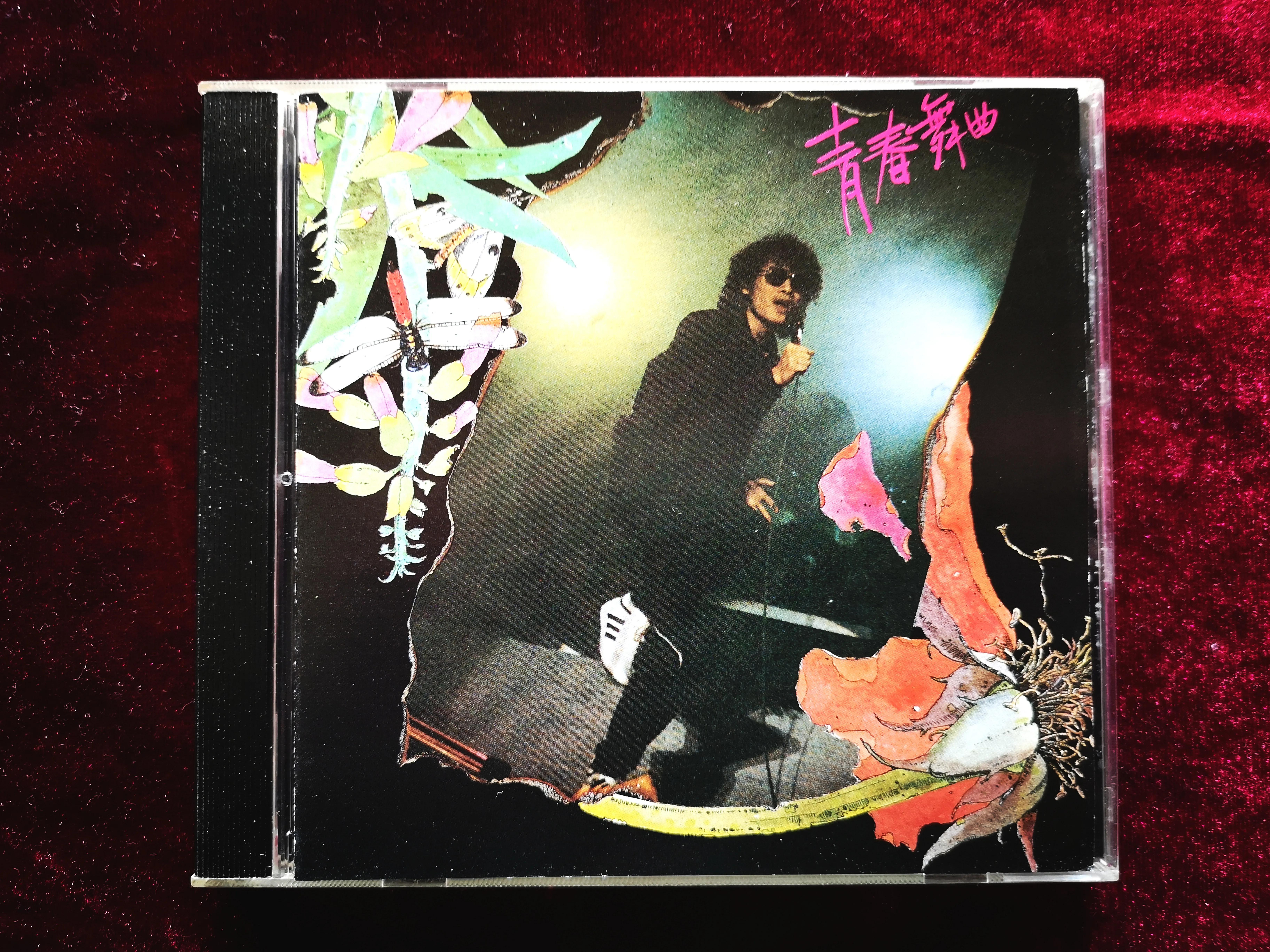 罗大佑青春舞曲原版歌词,罗大佑演唱的青春年华