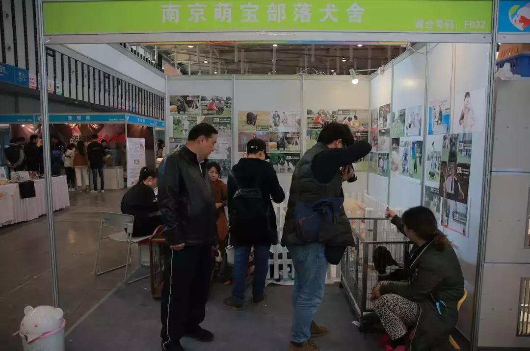 萌宠齐聚南京宠物博览会,day1