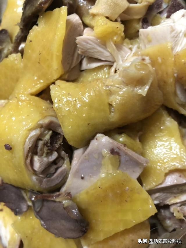 发酵饲料和全价饲料的优势,发酵饲料氨基酸含量高吗