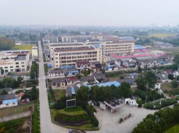 高桥镇大项目,高桥镇的建设