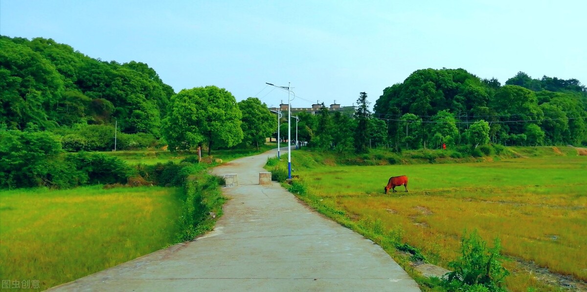 格律诗的格和律什么区别,格律诗的基本规则是什么