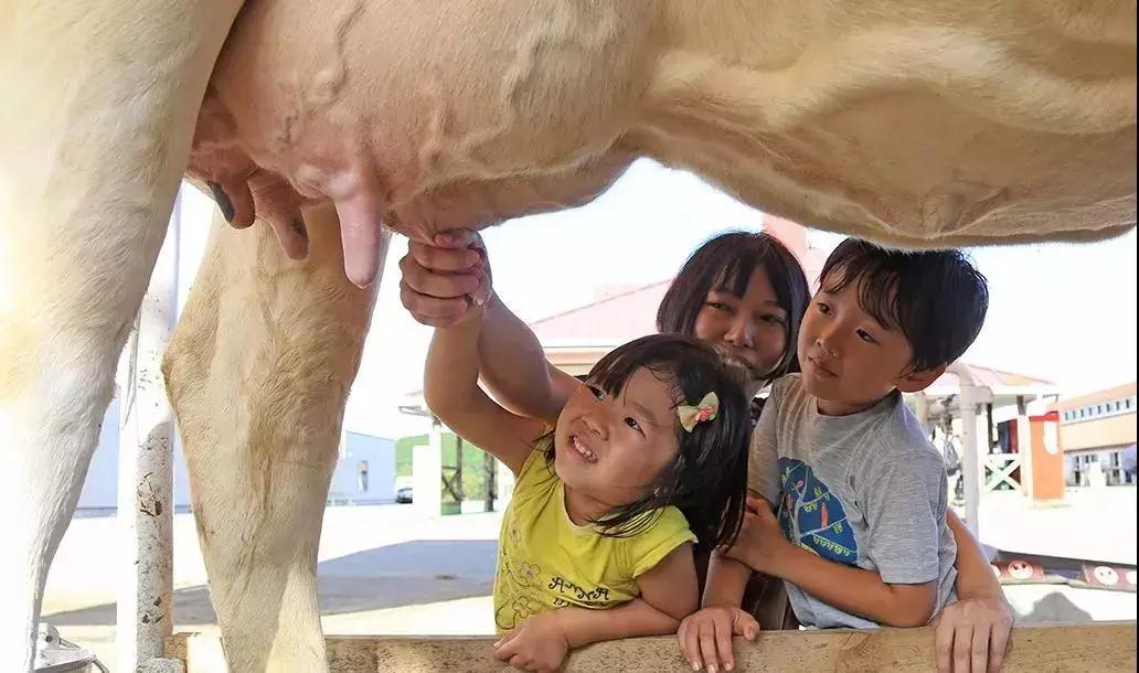 日本农场营收10亿经营秘诀,日本妈妈牧场怎么运营