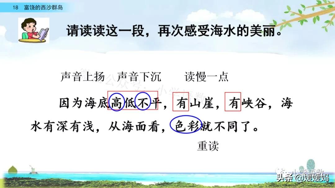 三年级第18课富饶的西沙群岛预习,3年级语文第18课富饶的西沙群岛