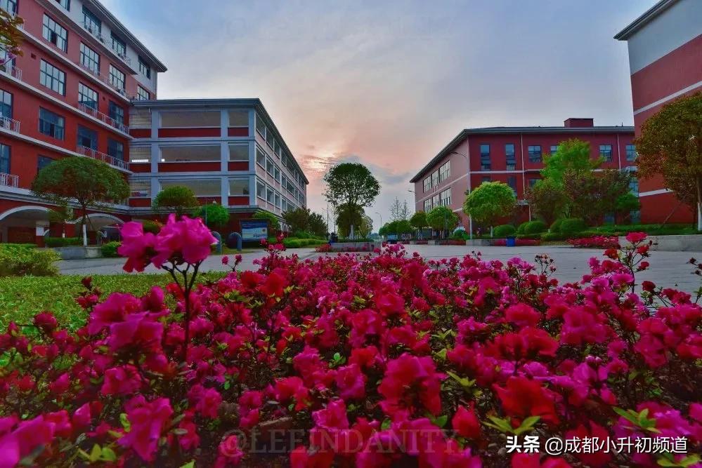 温江嘉祥招生小学升初中,2021年郫都区嘉祥小升初入学条件