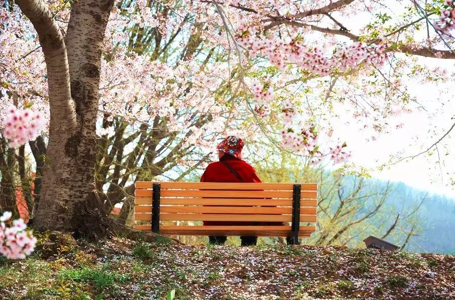 辽宁有美丽的小镇,辽宁有个小城市