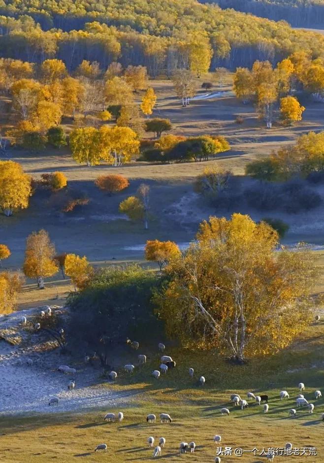国庆带宝宝去玩的宝藏地方,贵阳国庆周边宝藏地