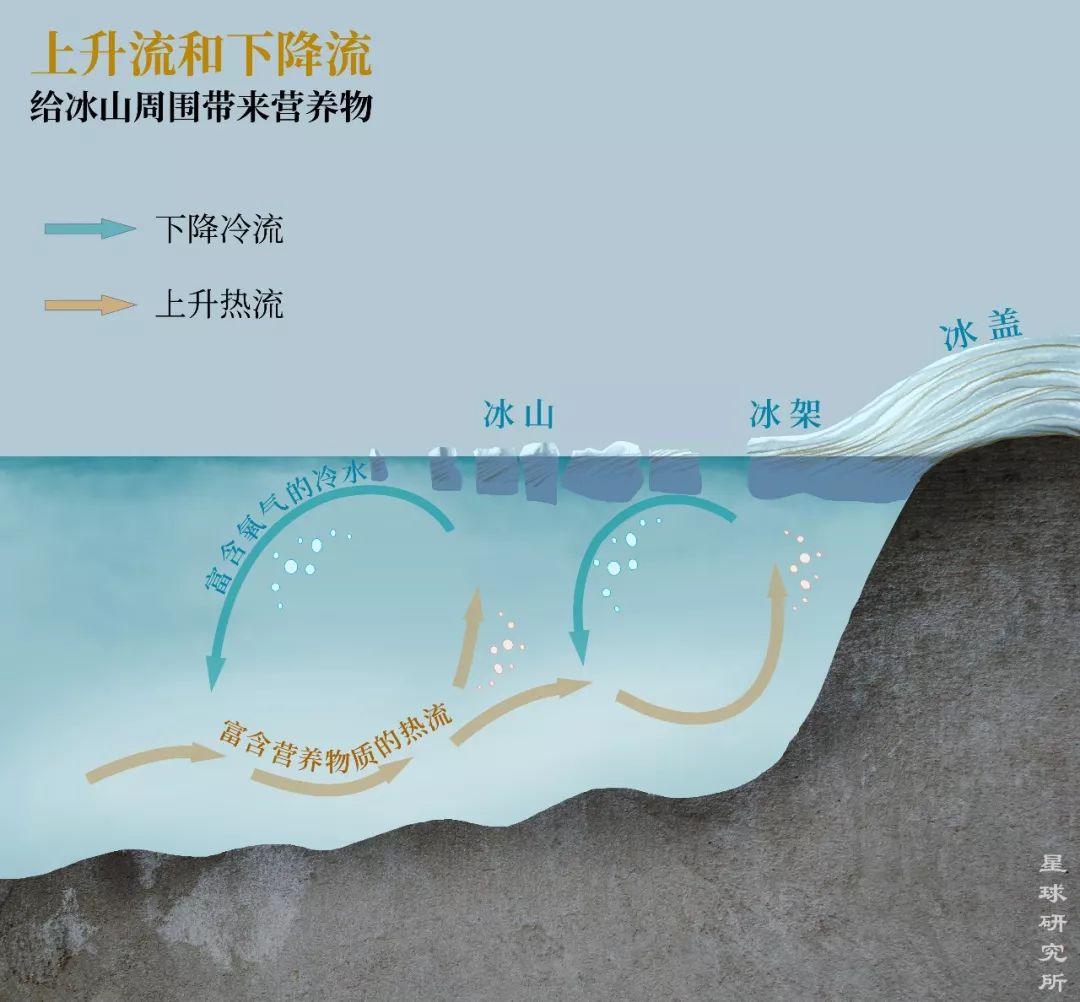 南极从哪里来的最多,南极从哪里开始到哪里结束