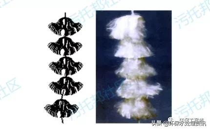 填料按形状分可分为哪两种,填料塔填料的种类规格