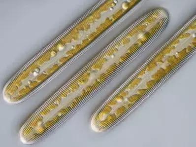 鱼类水产养殖需要哪些藻类,水产养殖显微镜下各种藻类