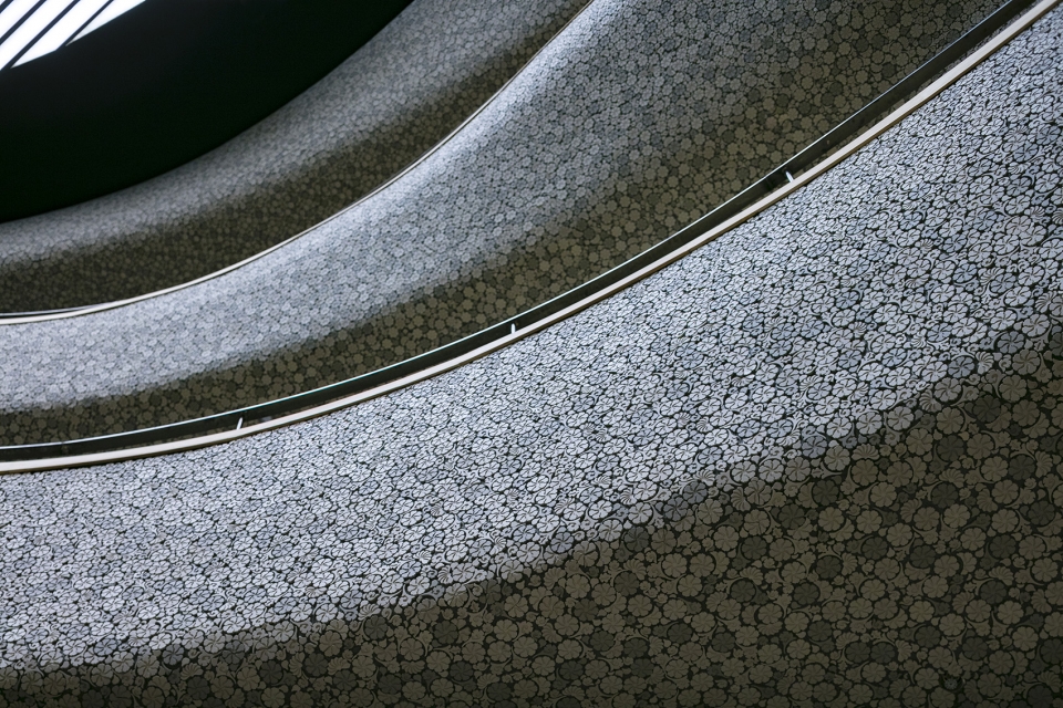 海峡艺术中心茉莉花,福州海峡文化艺术中心晚霞