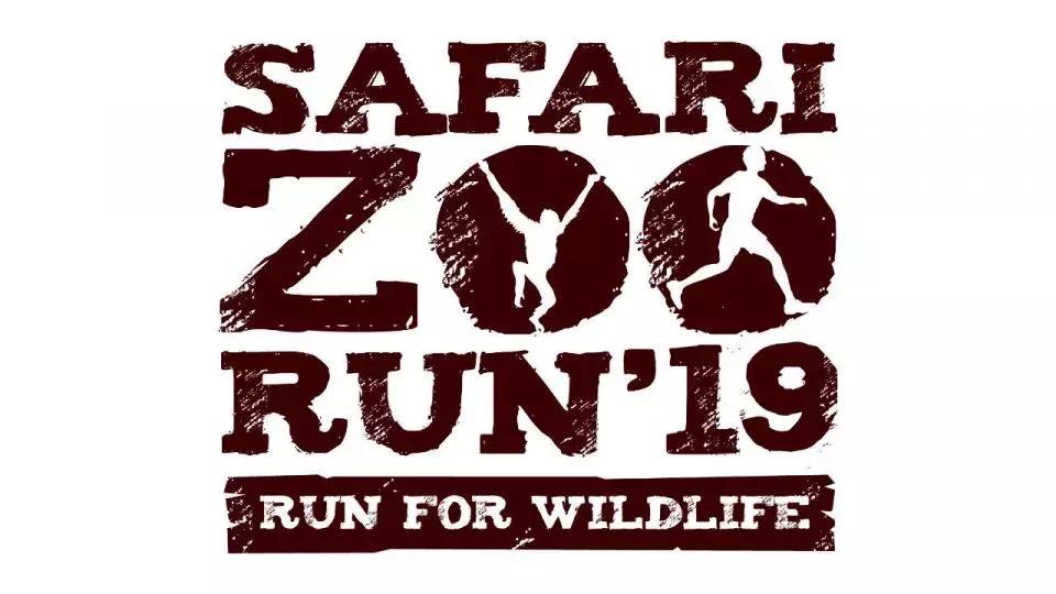 2019年最新盘点！新加坡的网红跑活动~