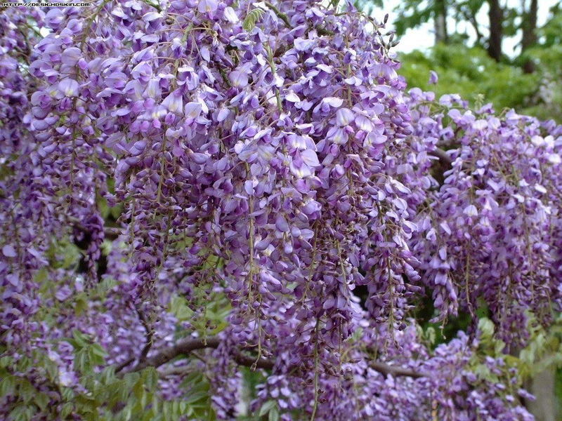 高情商女人会说话36种技巧,和人沟通七个高情商说话技巧