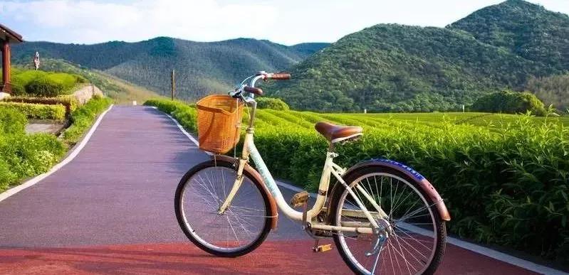 骑自行车的经典散文,散文在生命的旅途中前行