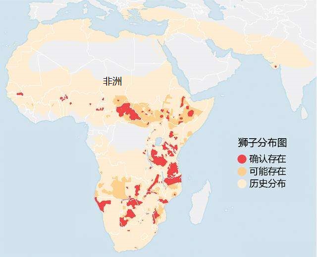 狮虎和百兽之王哪个厉害,狮虎大战真相