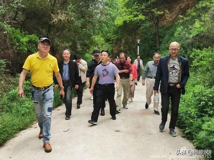 赴一场春日的邀约,五月赴一场与槐花的约会