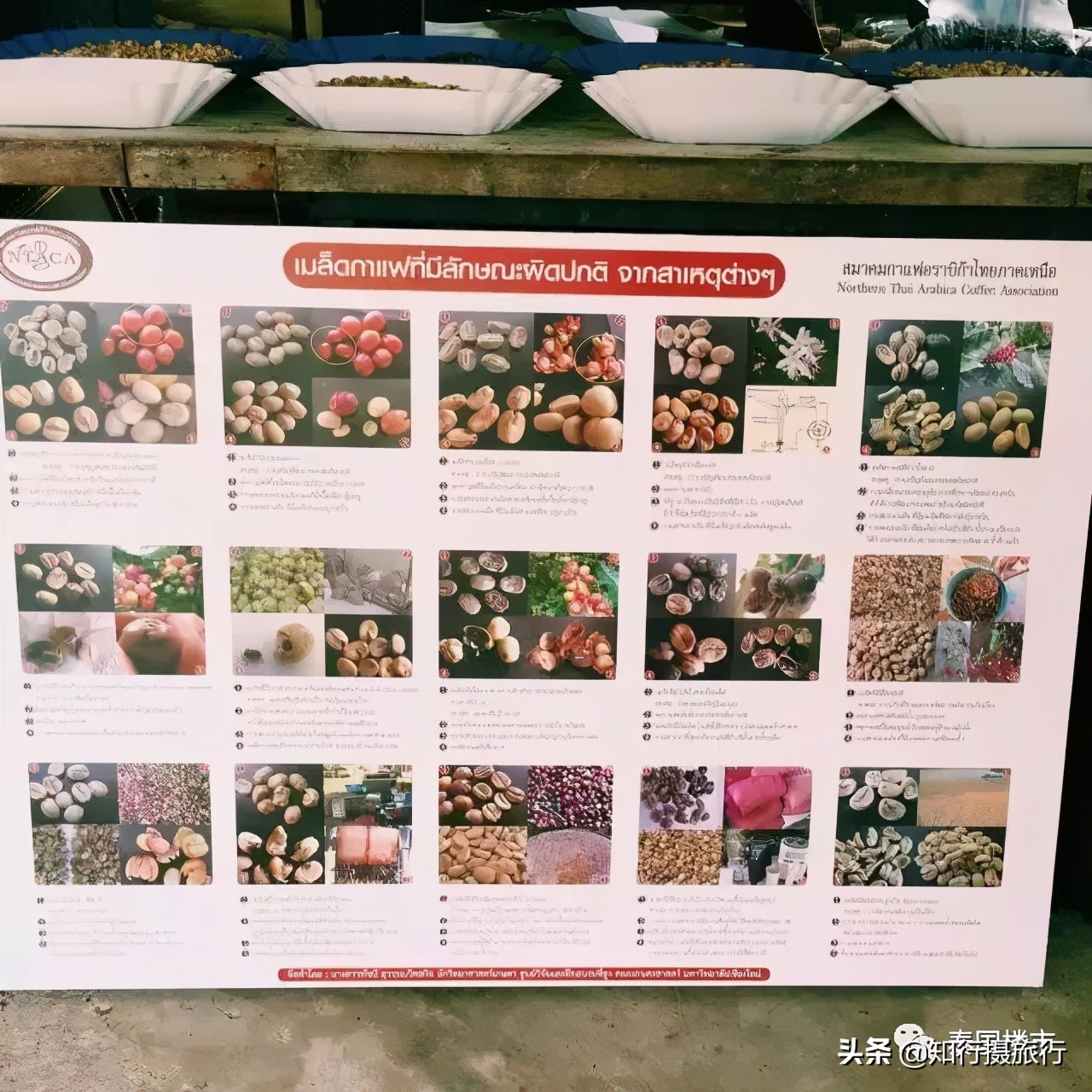 清迈一定要去的咖啡店,打卡泰国清迈6家瀑布咖啡馆