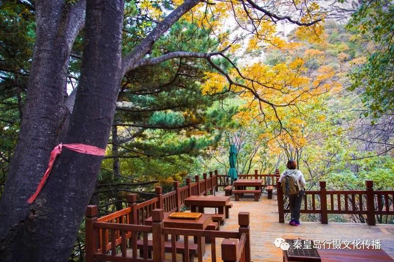 秦皇岛秋天美景,秦皇岛秋天落日和晚风