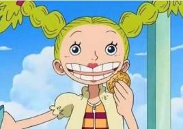 海贼王里十大最漂亮的女性,海贼王女性角色介绍大全