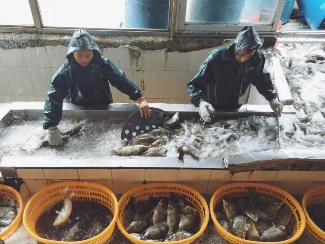 农民工的工资条,农民工晒工资