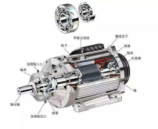 维嘉的解析,维嘉早年视频