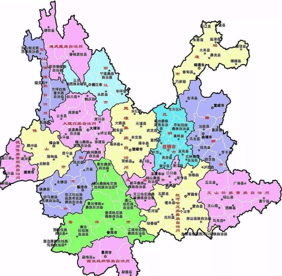 茶知识普及讲解普洱茶,普洱茶的等级之分科普