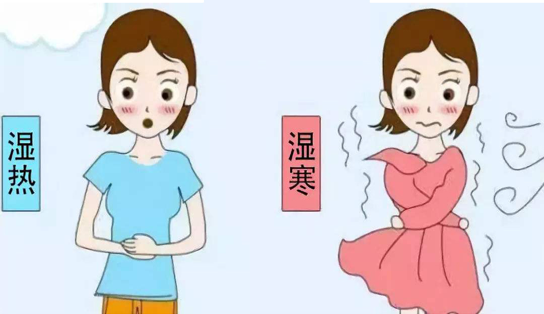 湿气重便秘肚子大怎么排湿减肥,湿气重的人舌苔厚怎么排湿