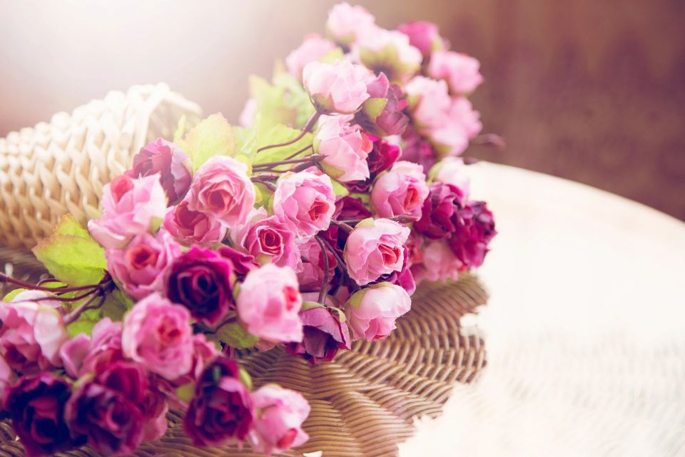 散文笔会,同学聚会散文诗句