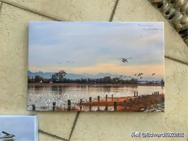 自由摄影师摆摊需要些什么,摄影摆摊怎么入行