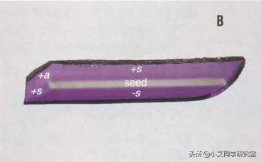 揭秘珠宝鉴定师的秘密,珠宝鉴定小常识