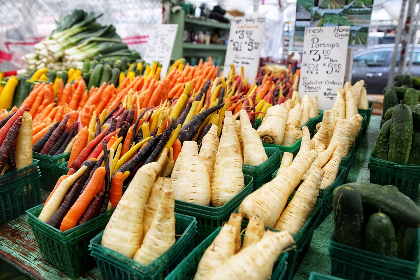 「怀念系列」加拿大（5）｜品尝奥巴马同款枫叶糖