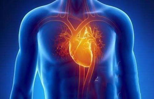 每天喝一杯红酒酒量会增加吗,每天喝一杯红酒寿命长吗