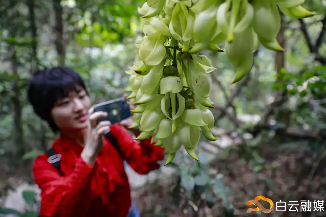 走一起去看美丽的风景,走一起去看美好的风景