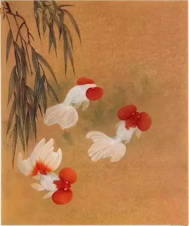工笔金鱼团扇教学视频,工笔金鱼国画图片大全