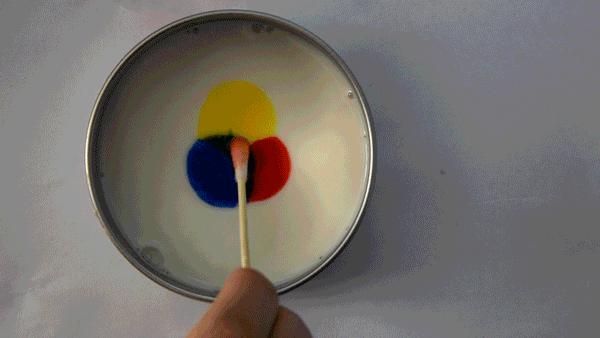 专注力训练小游戏3-6岁中班视频,全脑课程培养宝宝专注力的小游戏