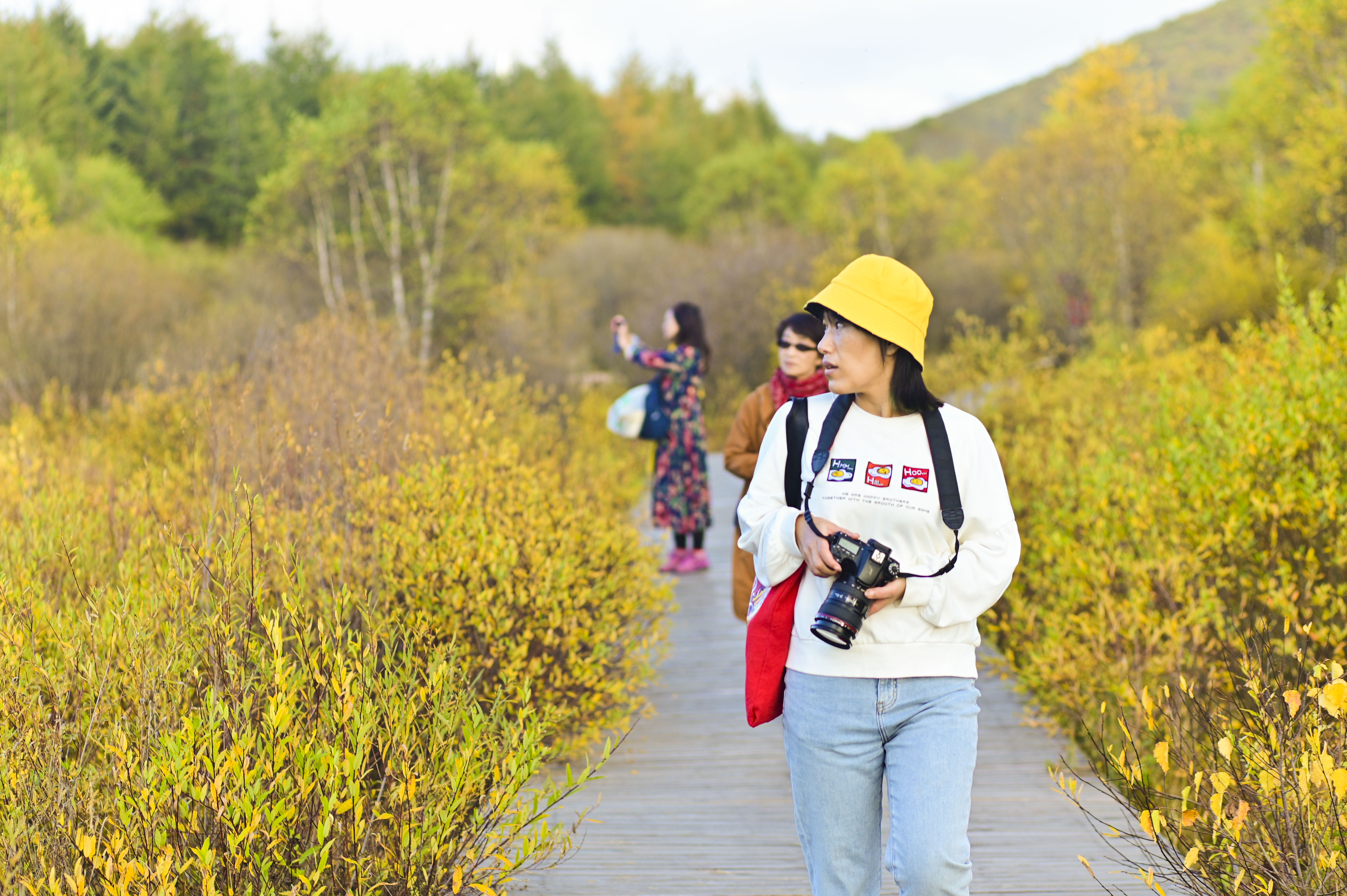 丰宁神仙谷七彩森林景区地图,丰宁坝上七彩森林游玩攻略