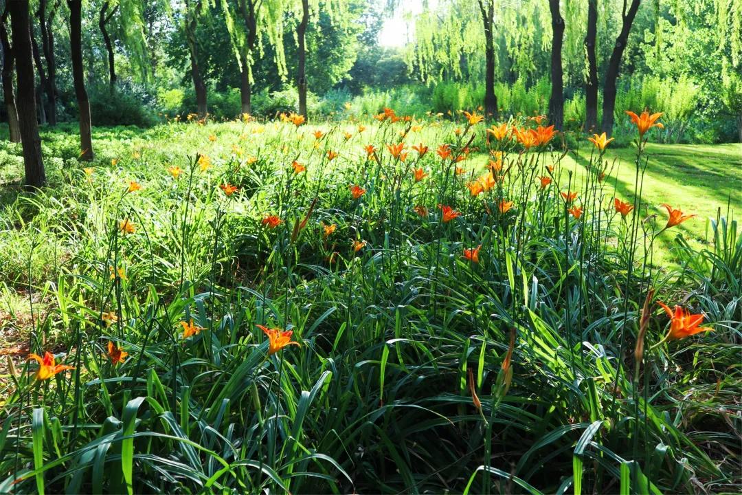 在济南花式避暑，一见“清”心！只需一瞥，便足以把酷夏原谅…