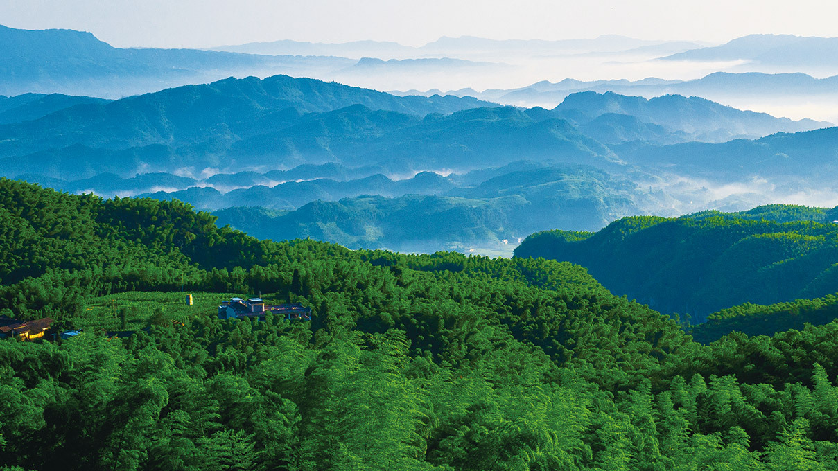 四川旅游踩坑的地方,贵州旅游踩坑