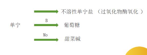 柑橘转色原理及增甜办法,柑橘增糖着色的原因