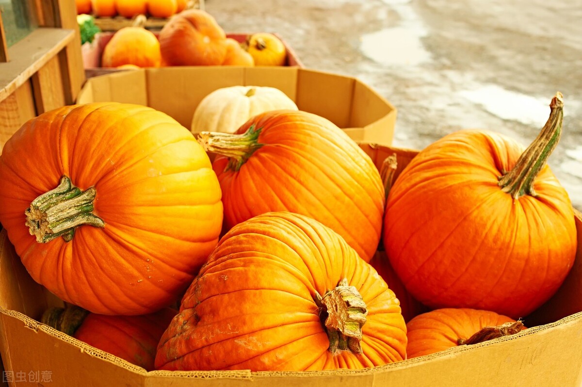 入秋后吃南瓜莲藕不,入秋多吃南瓜有什么好处