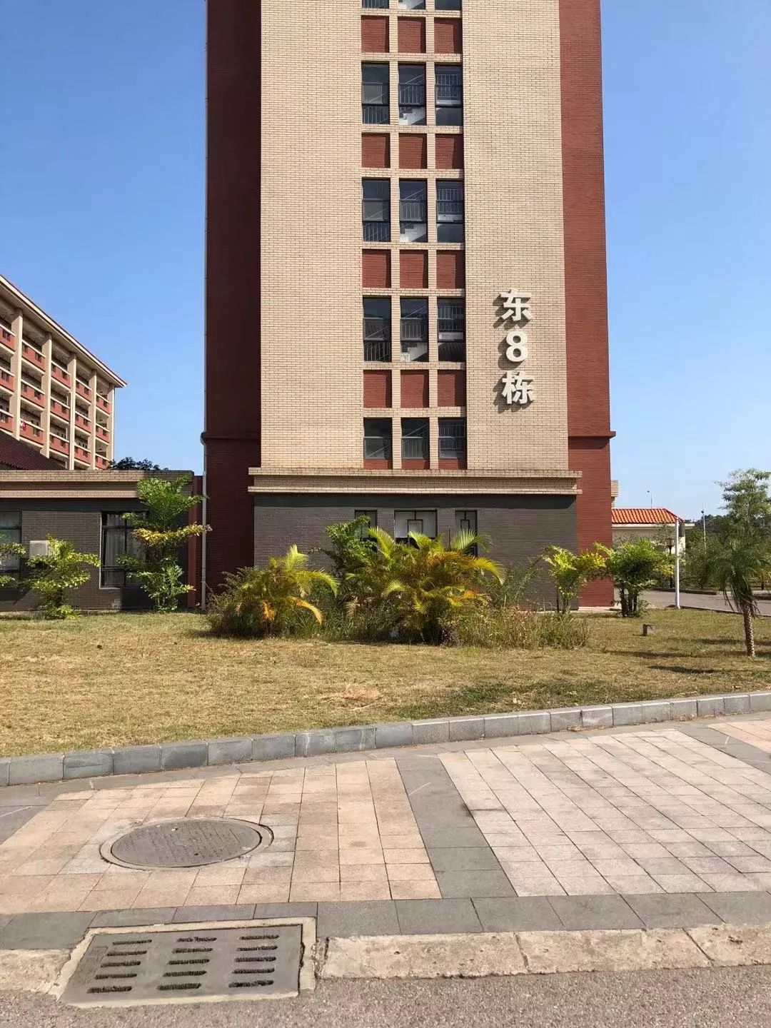 钦州有哪些县城美食,钦州哪些小学有美食