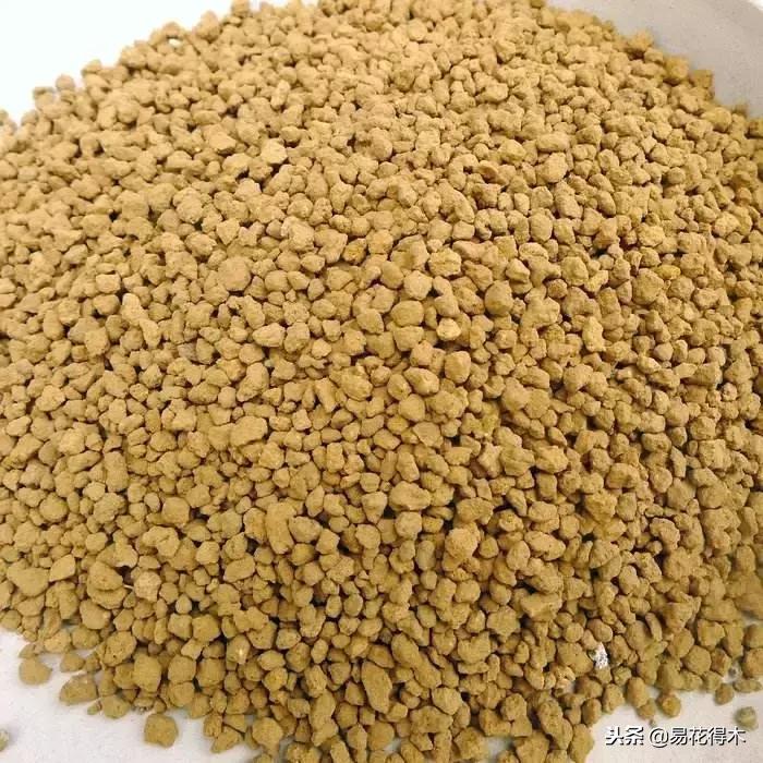 生桩的种植方法和技巧,生桩用什么土栽种最好