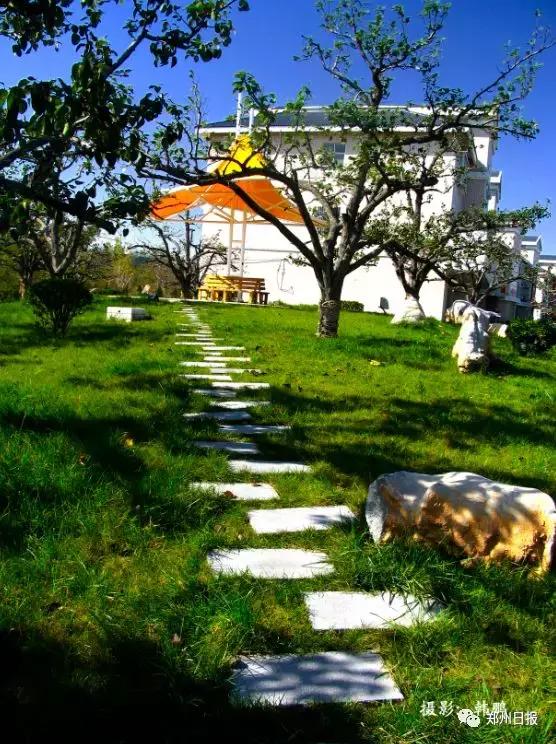 郑州上街区和航空港区哪个地方好,郑州上街区通航试验区最新规划图