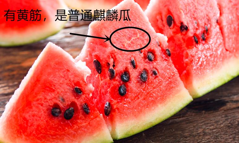 麒麟瓜和普通的西瓜有什么区别,西瓜8424和麒麟瓜的区别