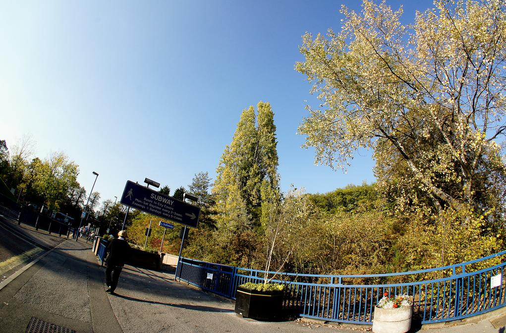 instagram最受欢迎的男模特,instagram最受欢迎的十大网红