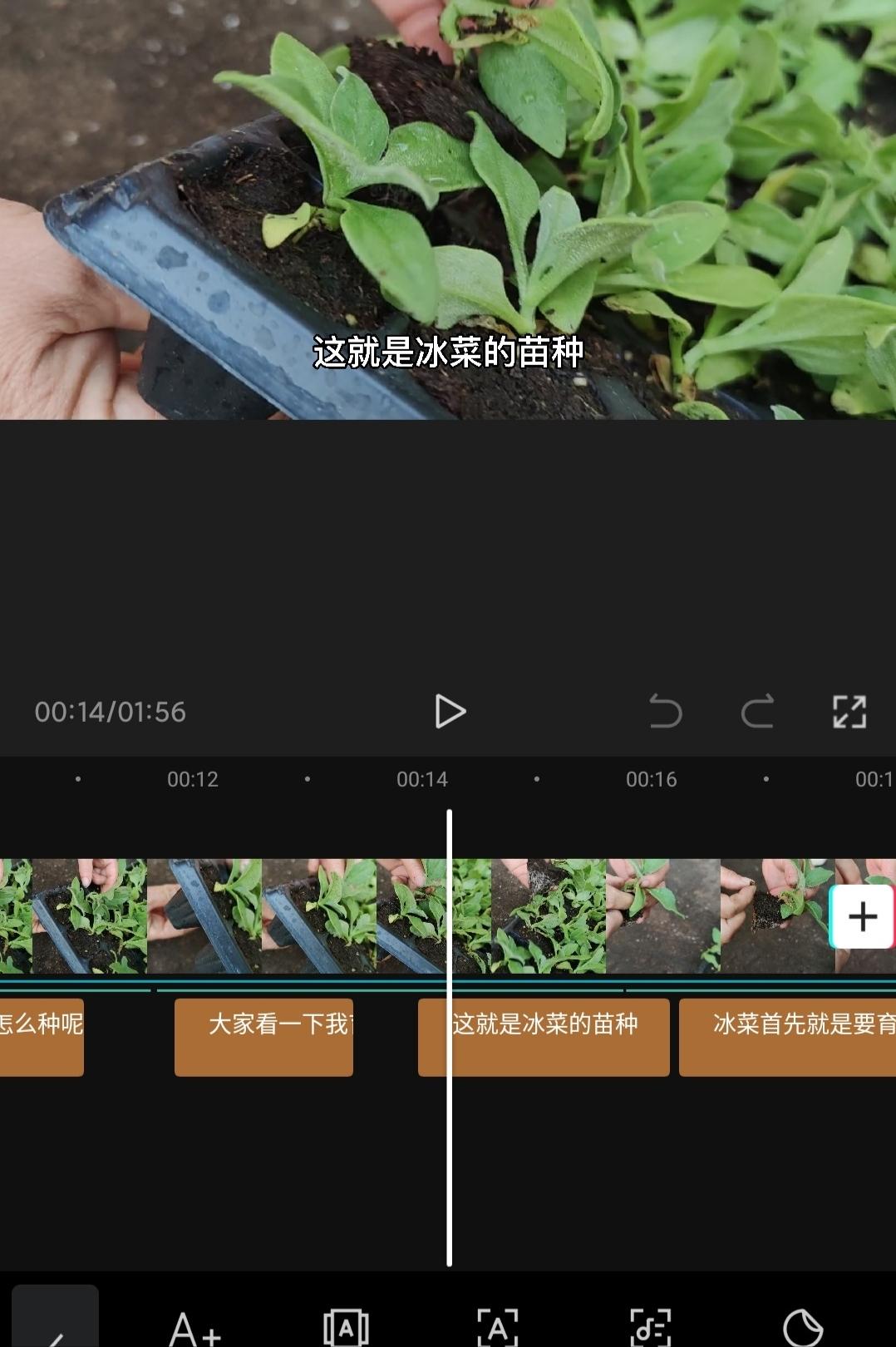 发一分钟的短视频怎么赚钱,2分钟教你在今日头条发视频赚钱