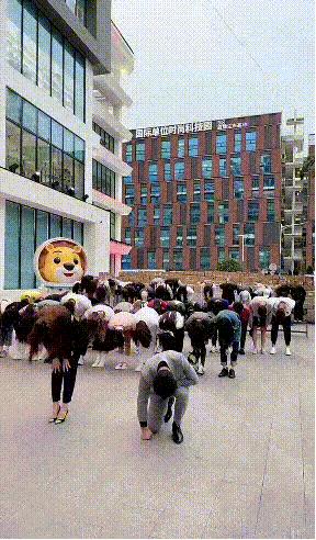 辛巴复出狂卖20亿：今天的下跪，是为了明天的上位